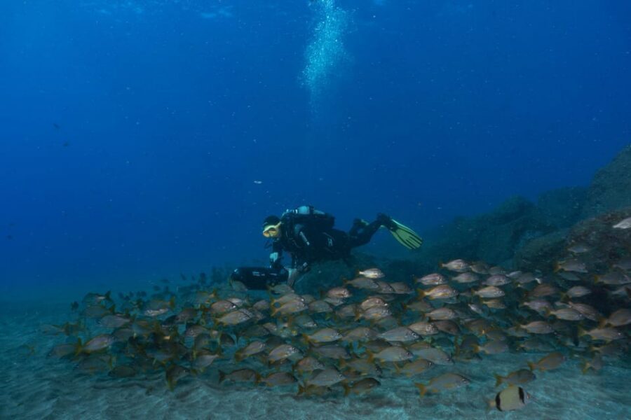 Funchal: DPV- Scooter Dive Adventure - Time on the Water: What 2 Hours Looks Like in Real Life