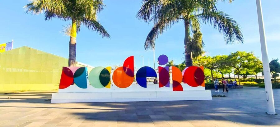 Funchal: Family Madeira Island Tour - Poncha and local breaks: tasting Madeira without turning it into chaos