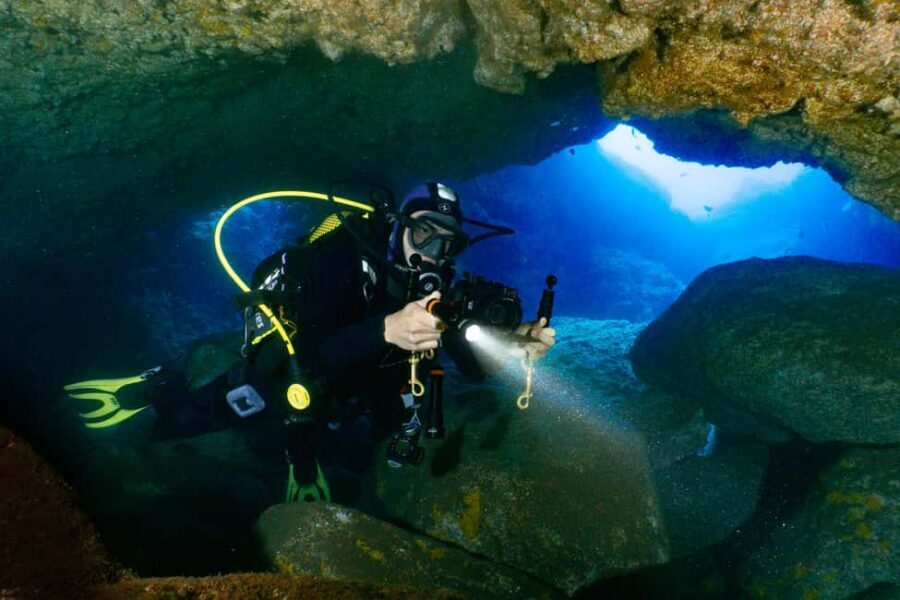 Funchal: Garajau national park - certified divers - Garajau National Park: why these waters are special