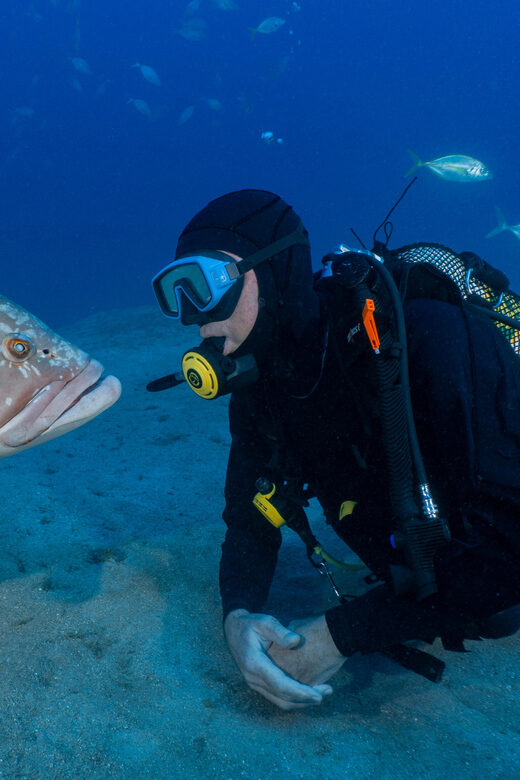 Funchal: Garajau national park - certified divers - Comfort and nerves: how this team supports real humans in real water