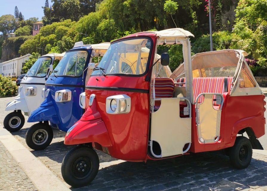 Funchal: Guided City Tuk-Tuk Tour - A 1-hour tuk-tuk tour that works on day one