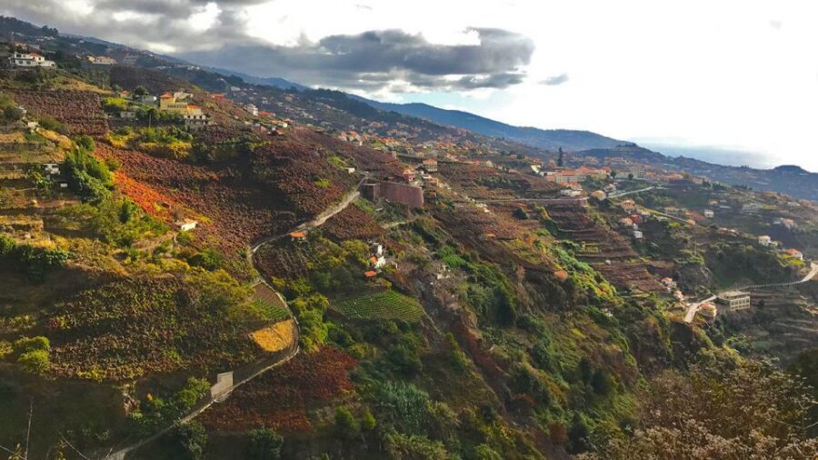 Funchal: Northern Levada Walking Tour - What to Bring (So the Walk Stays Enjoyable)