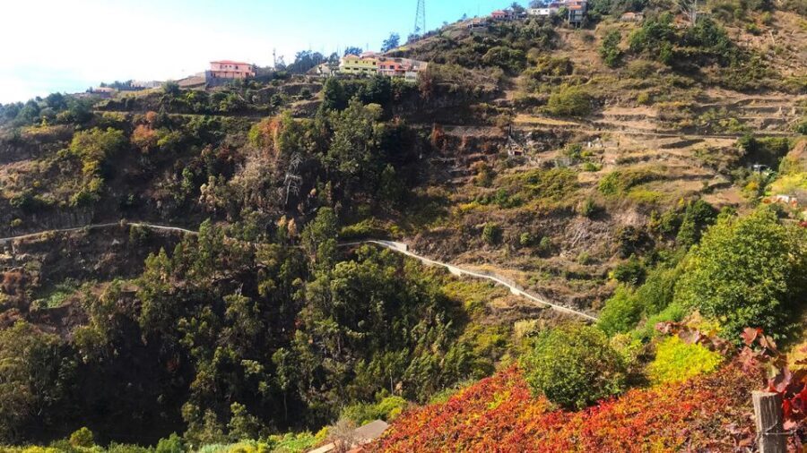 Funchal: Northern Levada Walking Tour - Following the Valley of Quinta Grande: Plantations, Terraces, and Village Life