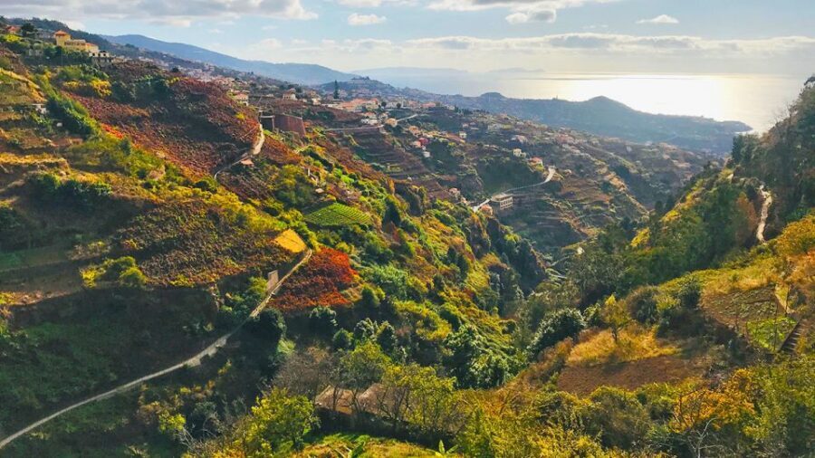 Funchal: Northern Levada Walking Tour - Price ($38): What You’re Really Paying For