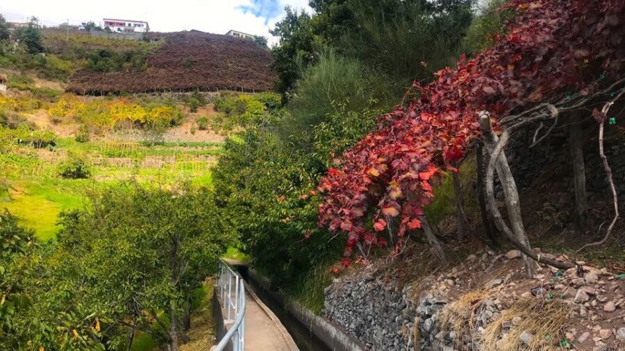 Funchal: Northern Levada Walking Tour - Getting There Smoothly: Pickup Points and Meeting Places