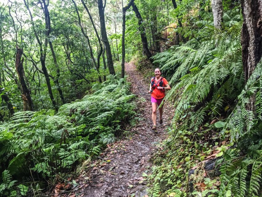 Funchal: Ocean to Mountain Running Tour - What to bring (and what to skip) for a safer, more comfortable run