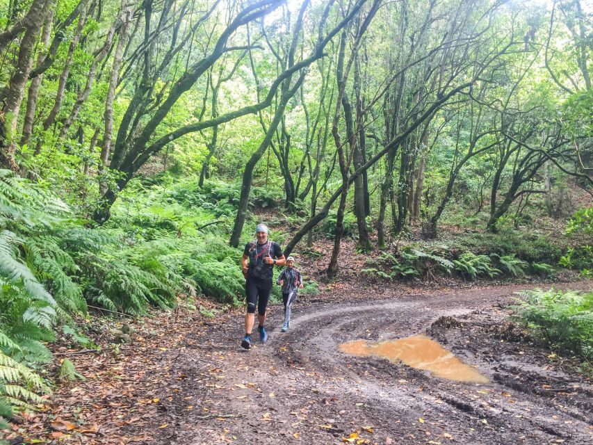 Funchal: Ocean to Mountain Running Tour - The climb plan: the first 5 km to 900 m, then easier trail running