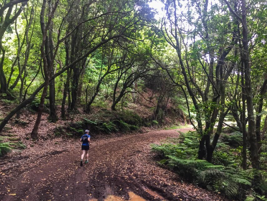 Funchal: Ocean to Mountain Running Tour - Pickup, timing, and what a 6-hour day feels like