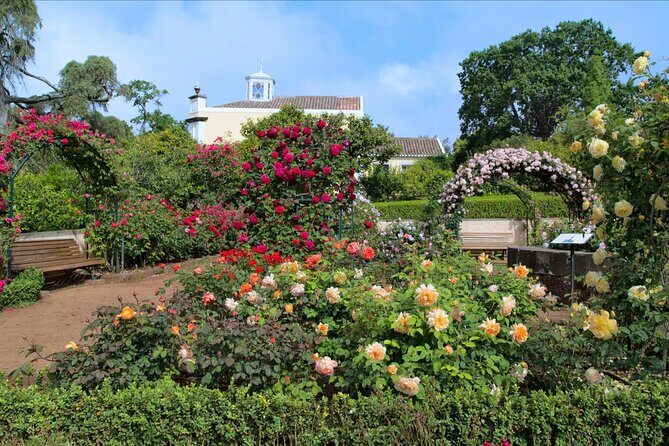 Funchal Old Town & Palheiro Gardens Private Tuk Tuk Tour - Old Town Funchal by tuk tuk: why this format feels smart