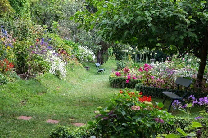Funchal Old Town & Palheiro Gardens Private Tuk Tuk Tour - Palheiro Gardens at Quinta do Palheiro: what you’ll enjoy and what costs extra