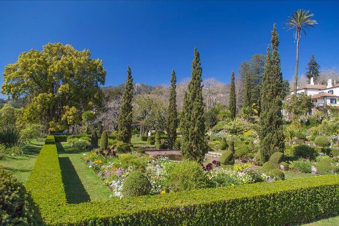 Funchal Old Town & Palheiro Gardens Private Tuk Tuk Tour - Tips to get more out of a tight 2-hour window