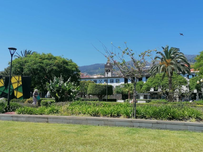 Funchal: Private Guided Tour of Historic Center by Tuk Tuk - Getting started at Avenida do Mar (and why the meeting point matters)