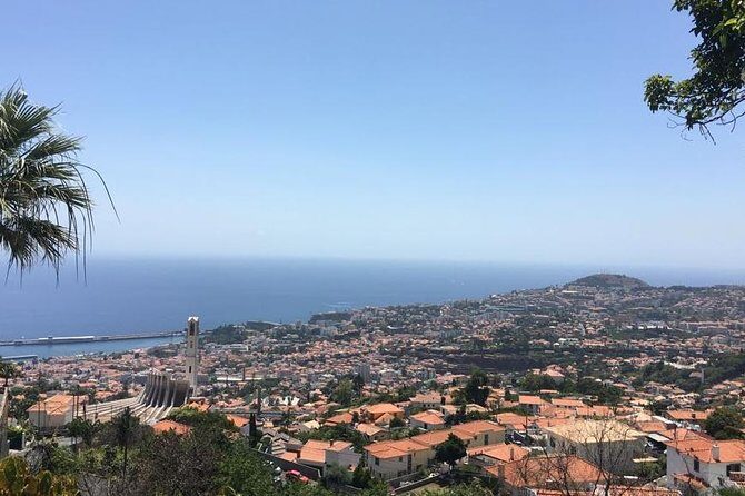 Funchal Private Transfers Service to Madeira Airport - Key points to know before you go
