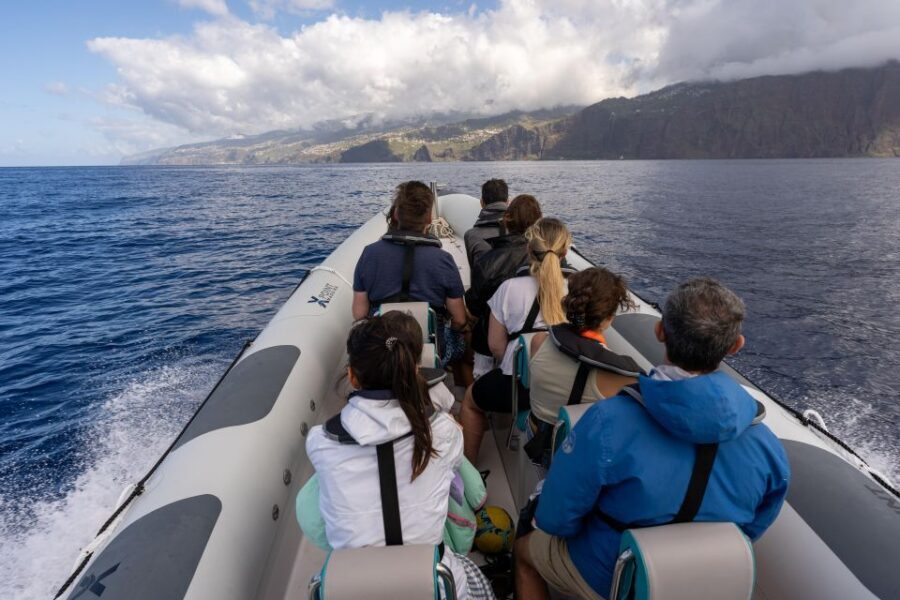 Funchal: RIB Whale Watching Cruise and Optional Dolphin Swim - Value for Money: $61 for the Boat, Plus a Swim You Pay Only If You Can