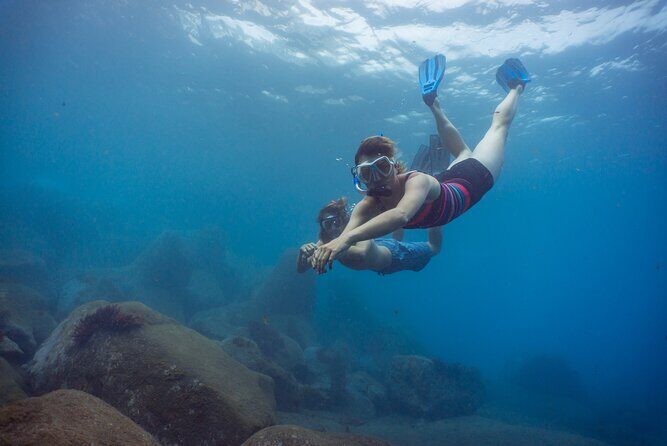 Funchal: Snorkeling Adventure in Eco-Park / Shore or by Boat - Key things to know before you go