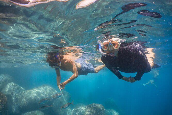 Funchal: Snorkeling Adventure in Eco-Park / Shore or by Boat - Entering the water near Funchal’s cliffs (two options, one smart plan)