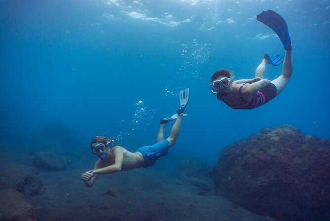 Funchal: Snorkeling Adventure in Eco-Park / Shore or by Boat - Shore snorkeling on the house reef: calm water, self-guided exploring