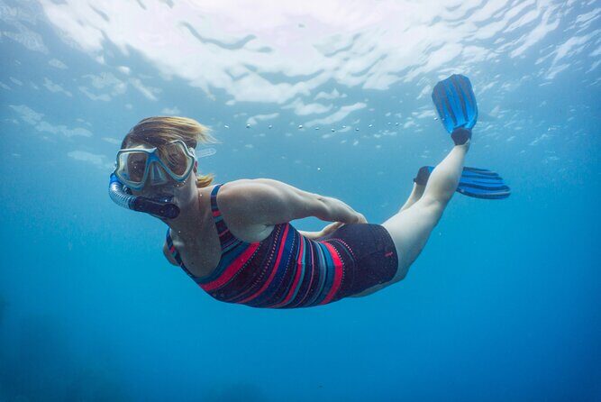 Funchal: Snorkeling Adventure in Eco-Park / Shore or by Boat - What you’ll likely see underwater (and why you should look around, not just forward)