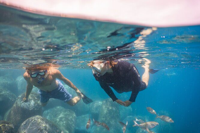 Funchal: Snorkeling Adventure in Eco-Park / Shore or by Boat - Wetsuit reality check: what to do when it feels warm on land