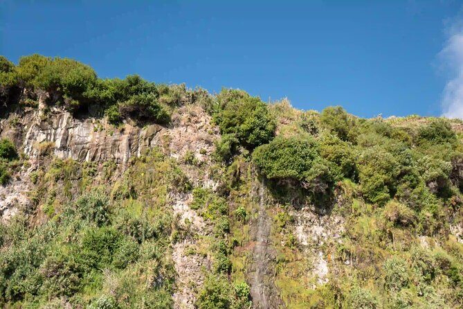 Funchal: Speedboat tour- SEE THE ISLAND AND LIFE AT SEA - Crew, organization, and the small touches that matter