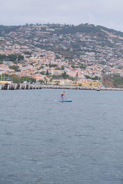 Funchal: Standup Paddle - Views and marine life: what you’re really paying for