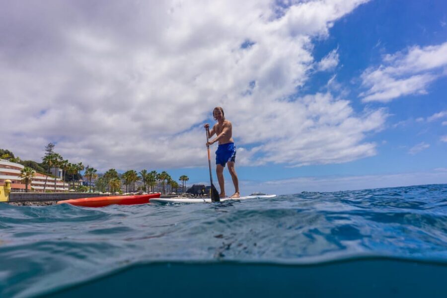 Funchal: SUP Rental or Guided tour with snorkeling - Meeting at Pestana Carlton and getting to sea level fast