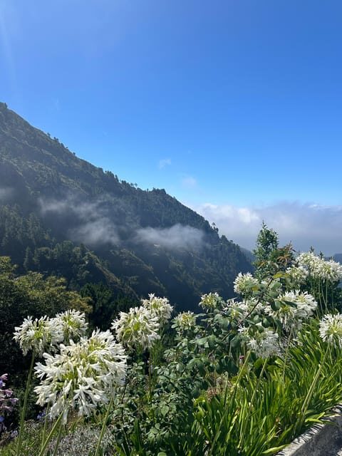 Funchal: Valley of the Nun’s tour by tuk tuk - From Funchal to Eira do Serrado: the first big viewpoint hit