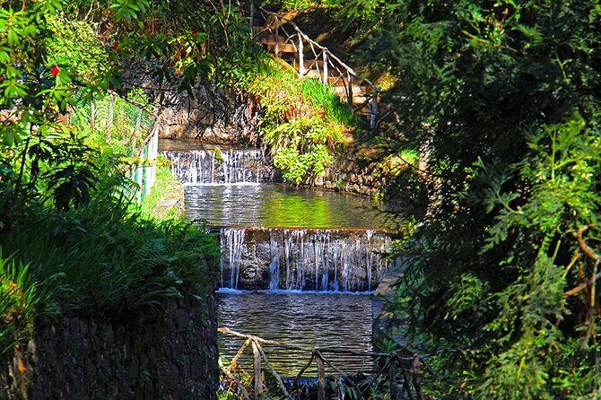 Green Cauldron - Stop 1: Parque Florestal das Queimadas walk and the first waterfall moment
