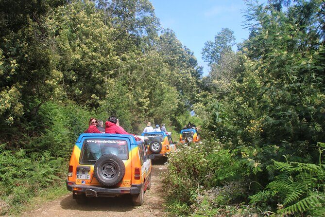 Guided Exploration of Southwest Madeira in a 4x4 - Campanário: the first nature-and-photo stop to set the tone