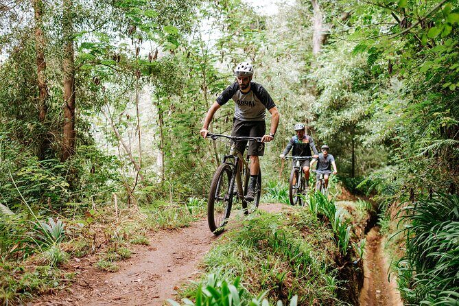 Guided Tour Electric Mountain Bike Experience - Electric Enduro KTM Bikes With Bosch Power: Why This Ride Feels Manageable