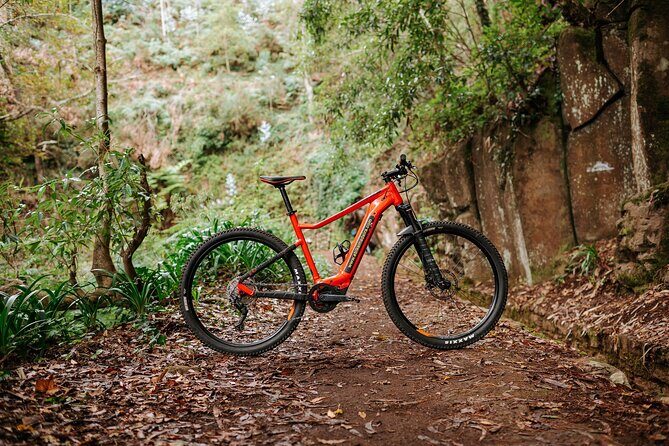 Guided Tour Electric Mountain Bike Experience - Morning Transfer From Funchal to Poiso (1412 m): Setting the Scene