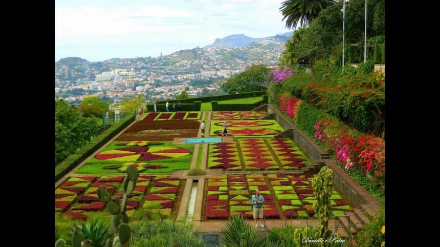 Guided Tuk-Tuk Tour to Botanical Garden (From Funchal) - Key highlights you’ll care about