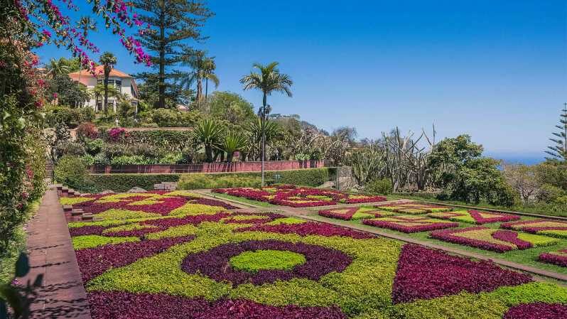 Guided Tuk-Tuk Tour to Botanical Garden (From Funchal) - How the 1-Hour Plan Works from Avenida do Mar