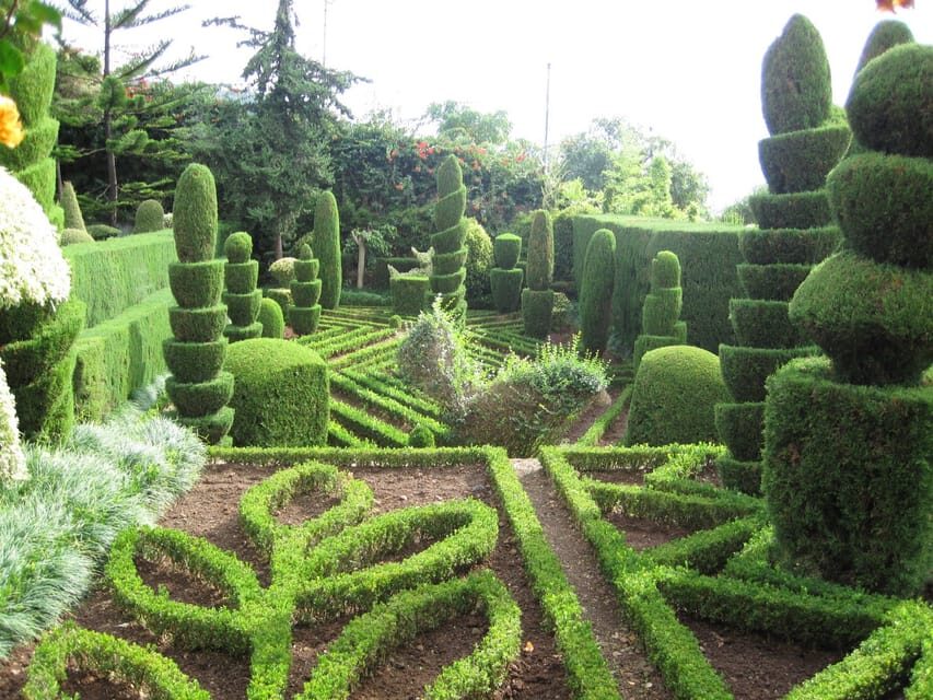 Guided Tuk-Tuk Tour to Botanical Garden (From Funchal) - The Garden Visit Reality: Time, Tickets, and What You’ll Probably Prioritize