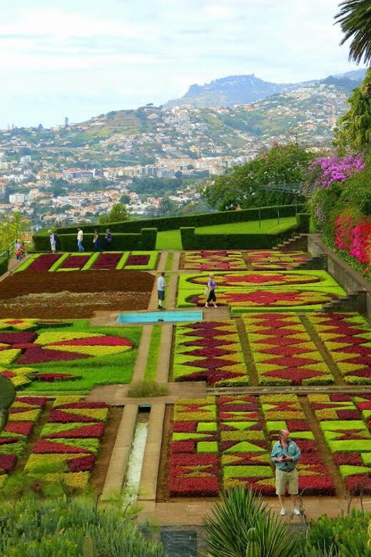 Guided Tuk-Tuk Tour to Botanical Garden (From Funchal) - Price and What You Actually Get for $74