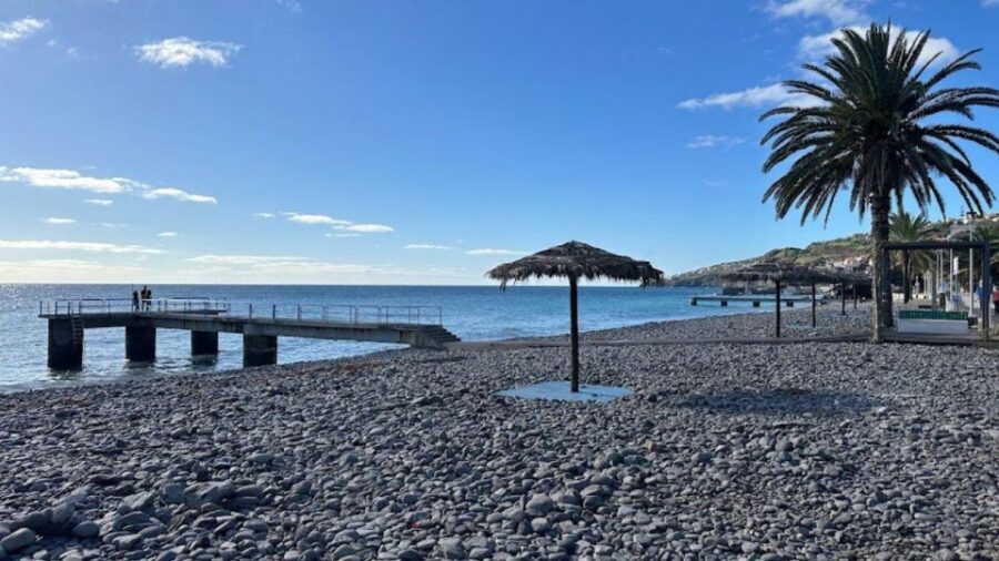 Half-Day Country Market Tour on Madeira Island - FAQ