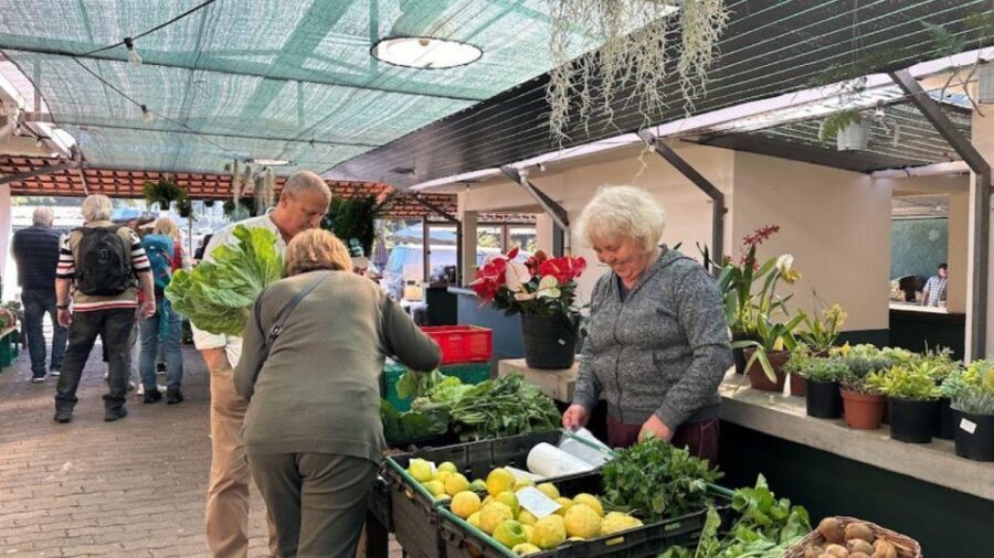 Half-Day Country Market Tour on Madeira Island - The Winding-Road Ride to Santo António da Serra (and Why It’s Part of the Value)