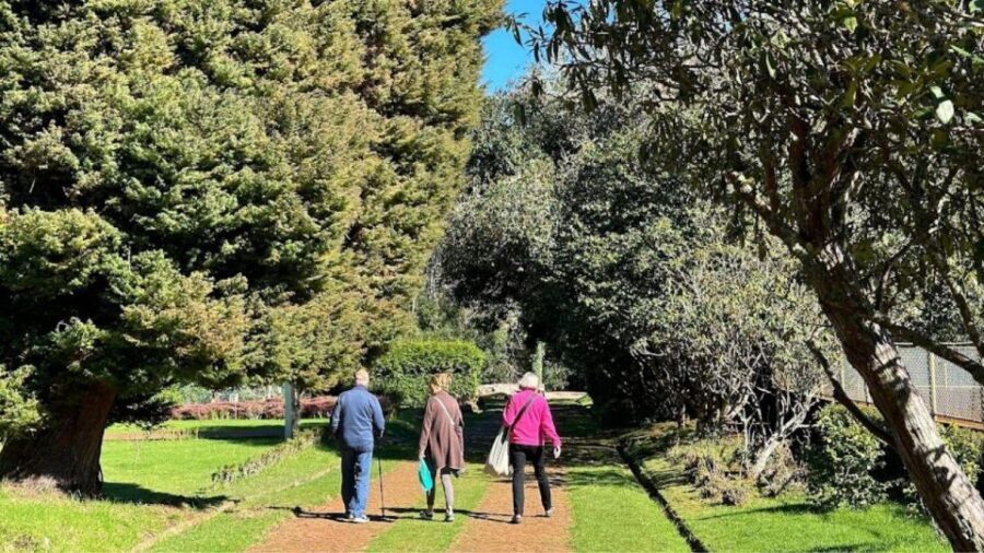 Half-Day Country Market Tour on Madeira Island - Price and Value: Does $29 Add Up for a 4-Hour Day?