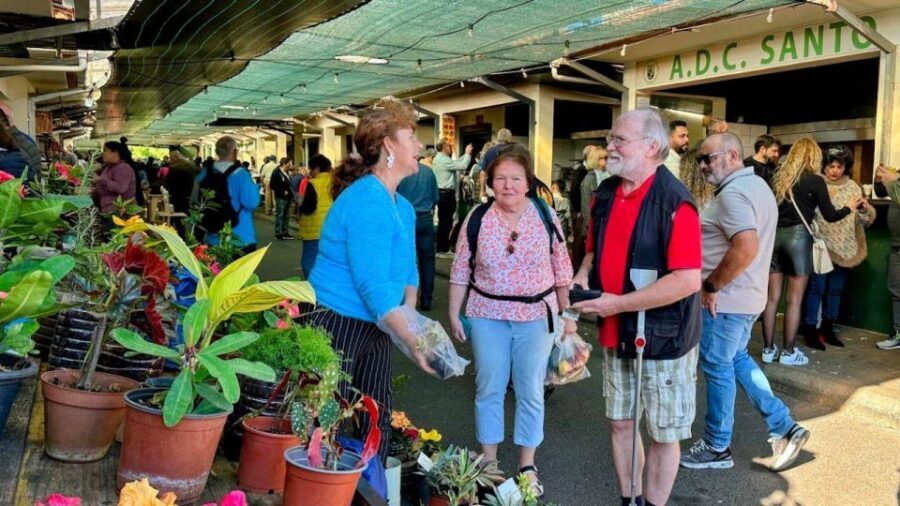 Half-Day Country Market Tour on Madeira Island - Who This Half-Day Madeira Tour Best Suits