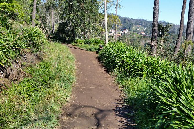 Half-Day Paradise Valley Walking Tour - Key Highlights You’ll Feel From the First Minute