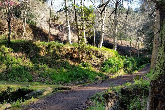 Half-Day Paradise Valley Walking Tour - Paradise Valley to Rochão: What This Half-Day Walk Really Delivers