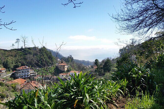 Half-Day Paradise Valley Walking Tour - The Camacha Views: When the Walk Becomes Worth the Camera Battery