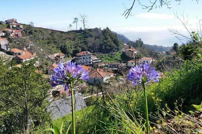 Half-Day Paradise Valley Walking Tour - The Levada Moment: Easy Water-Channel Scenery