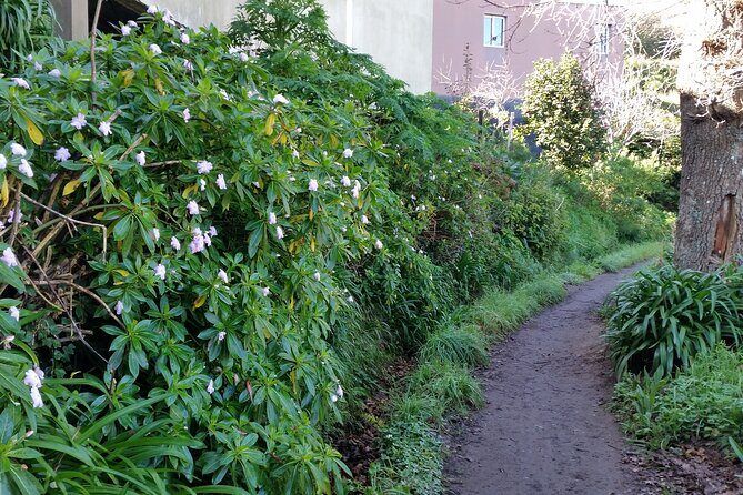 Half-Day Paradise Valley Walking Tour - What You Get in the Price (and What You’ll Need to Add)
