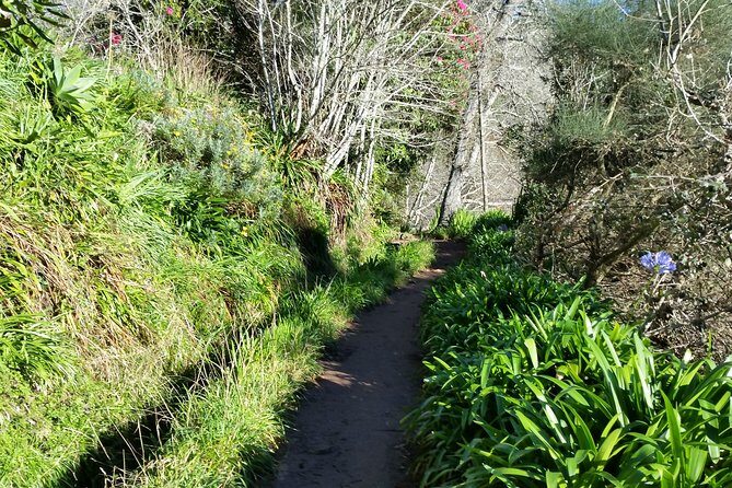 Half-Day Paradise Valley Walking Tour - Pickup Zones and Small-Group Size: Why It Feels Less Chaotic