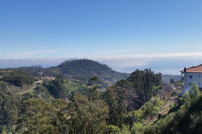 Half-Day Paradise Valley Walking Tour - How to Pace Yourself on an Easy Madeira Valley Walk