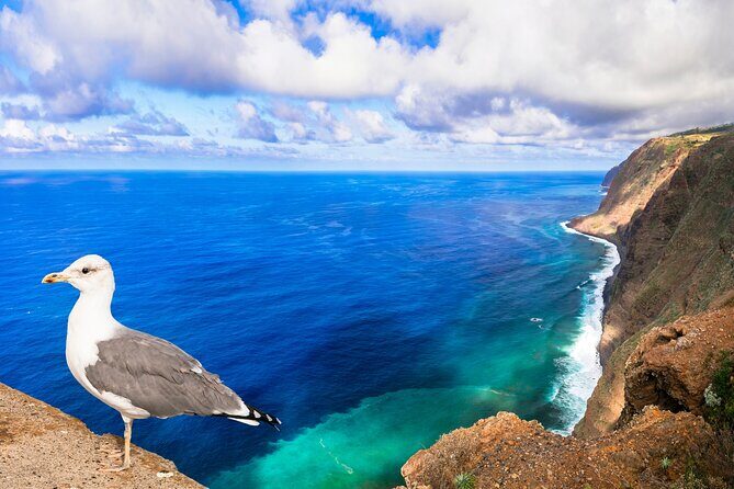 Jeep Safari in Southwest, Calheta and Ponta do Sol Full Day Tour - Stop 1: Ribeira Brava for Seafront Life and Historic Corners