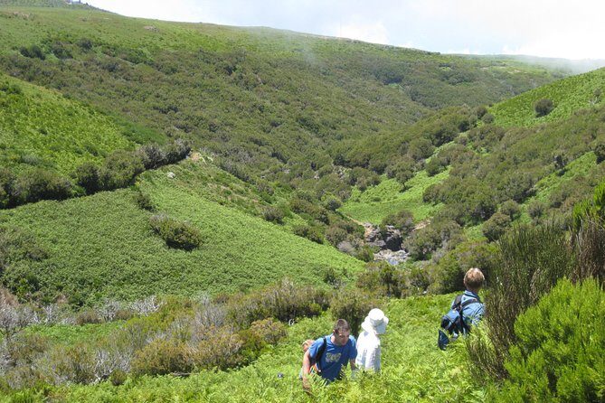 Lakes of Madeira- Alecrim Full day walk - Why Levada do Alecrim feels like Madeira at full speed