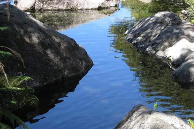 Lakes of Madeira- Alecrim Full day walk - Price and value: is $52.05 worth it?