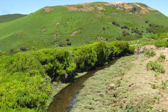 Lakes of Madeira- Alecrim Full day walk - Your guide’s job: navigation help plus plant spotting you’ll remember